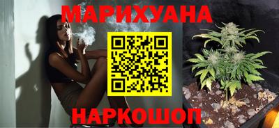 крисы Камышлов