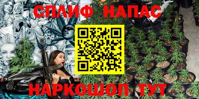 крисы Камышлов