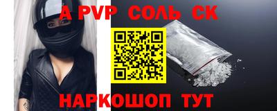 крисы Камышлов