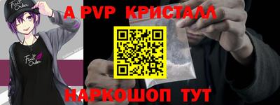 крисы Камышлов