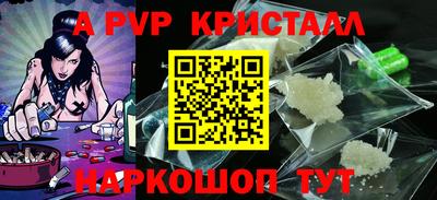 крисы Камышлов