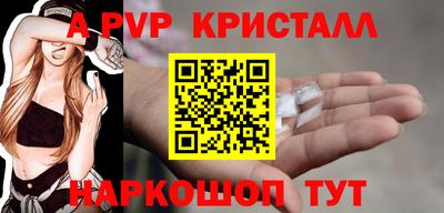 крисы Камышлов